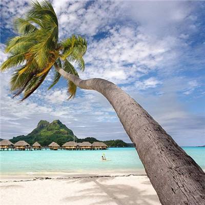 cq9电子游戏app下载手机版