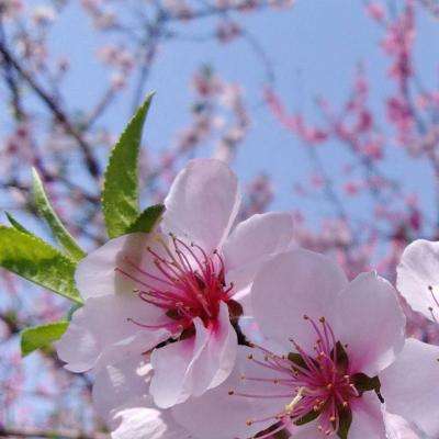 cq9电子游戏app下载手机版截图